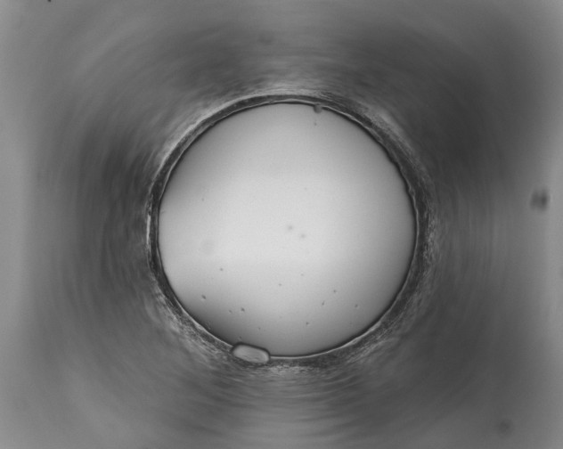 X0000115011268200911091413