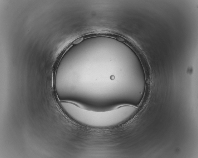 X0000115011269200911091413