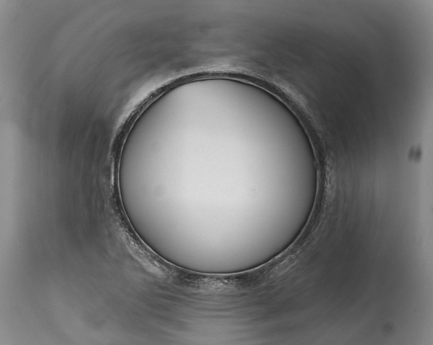 X0000115011270200911091413