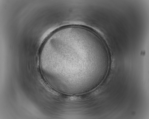 X0000115011271200911091413