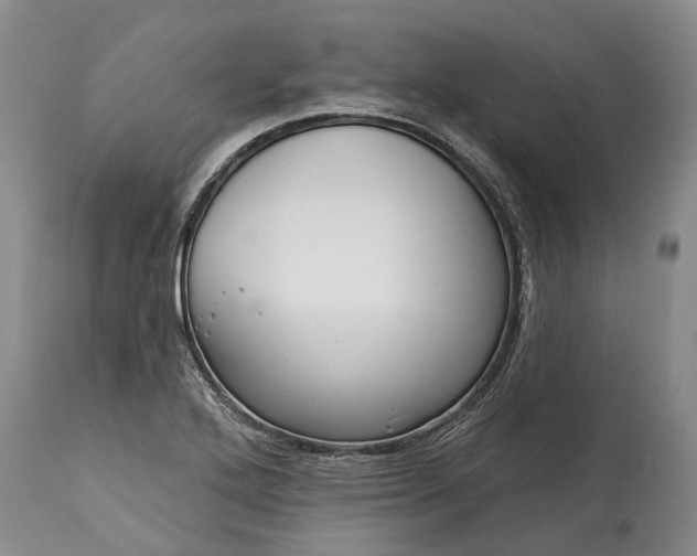 X0000115011272200911091413