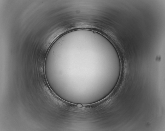 X0000115011273200911091413