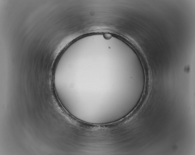 X0000115011277200911091413