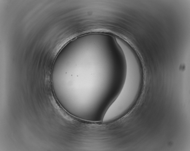 X0000115011281200911091412