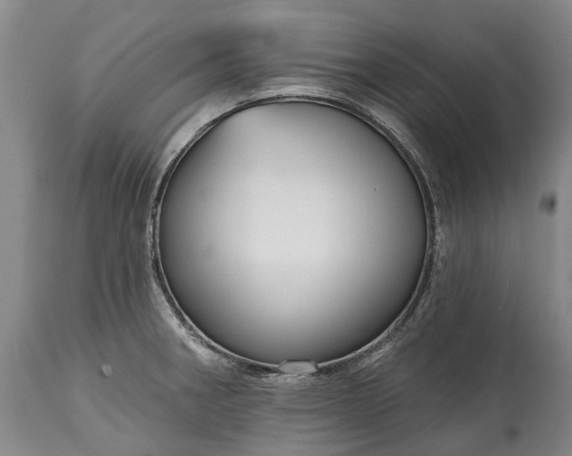 X0000115011282200911091412