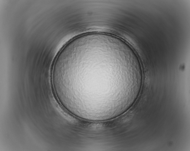 X0000115011283200911091412