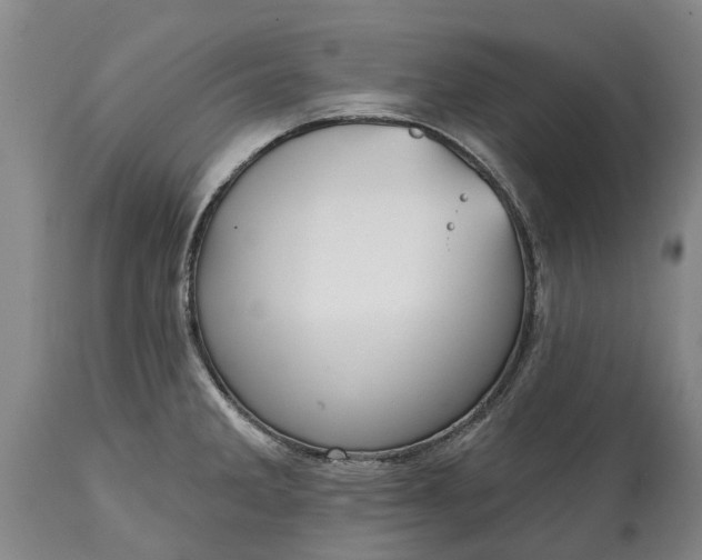 X0000115011285200911091412