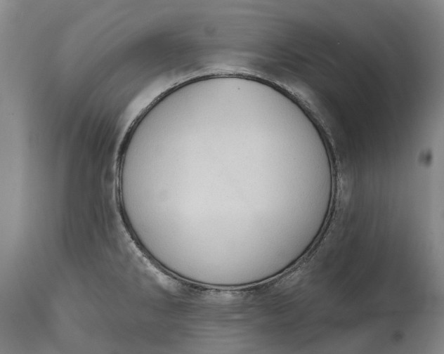 X0000115011286200911091412