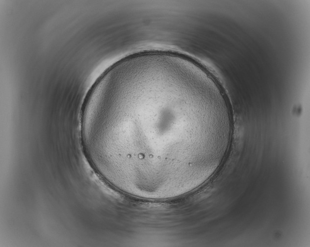 X0000115011287200911091412