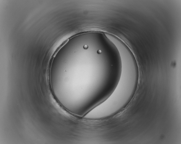 X0000115011293200911091412