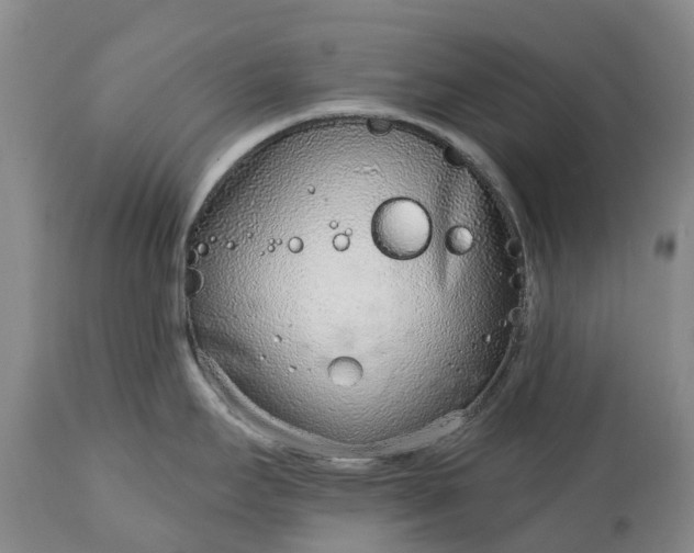 X0000115011295200911091412