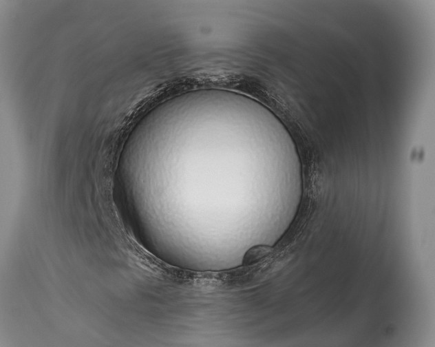 X0000115011297200911091411