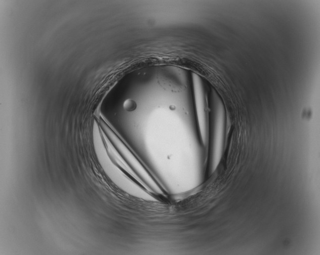 X0000115011298200911091411