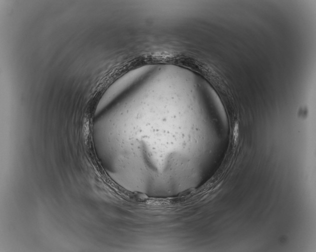X0000115011299200911091411