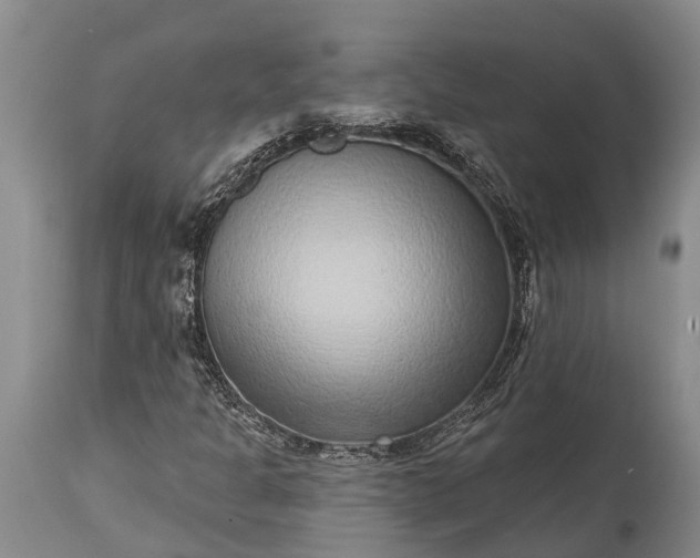 X0000115011301200911091411
