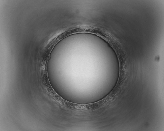 X0000115011302200911091411