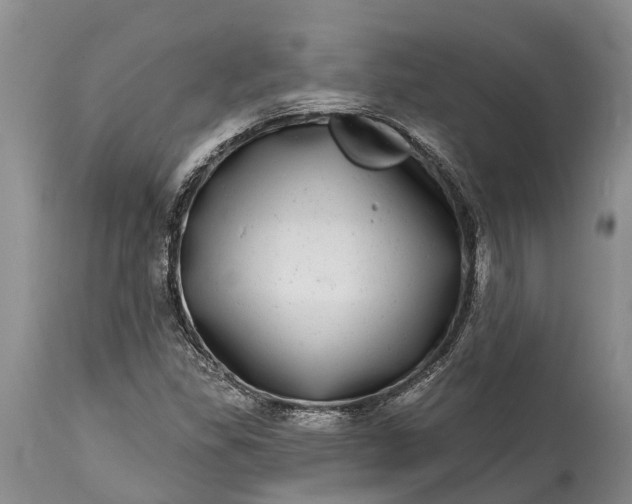 X0000115011309200911091412