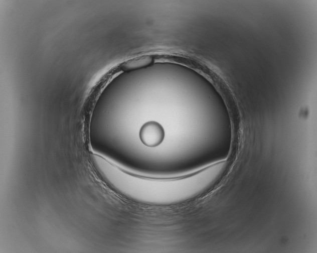 X0000115011310200911091412