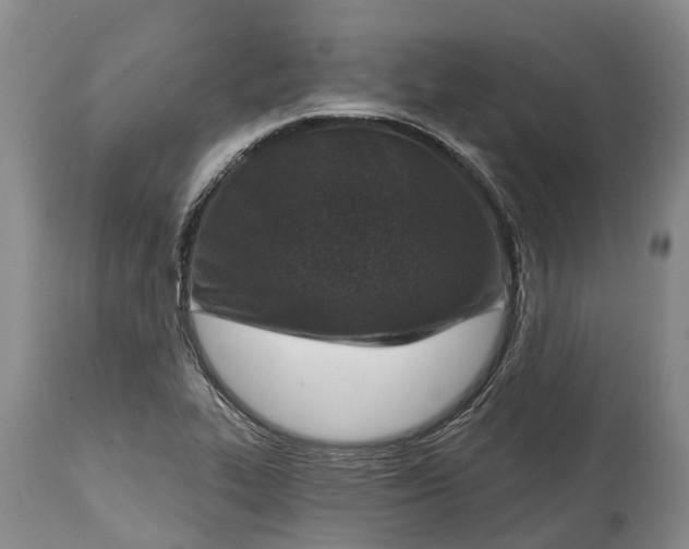 X0000115011319200911091412