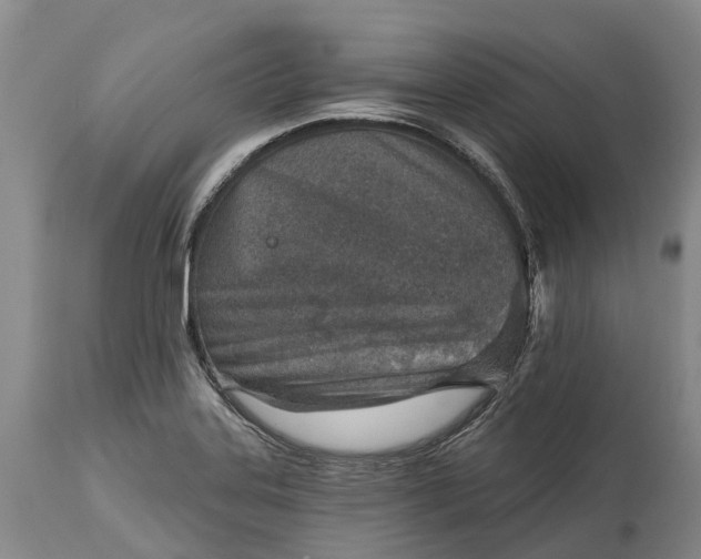 X0000115011323200911091412