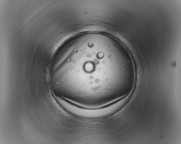 X0000115011329200911091412