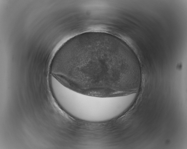 X0000115011331200911091412
