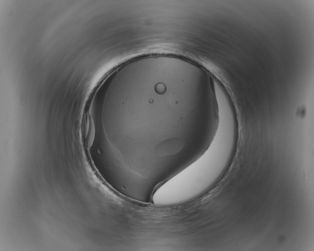 X0000115011334200911091412
