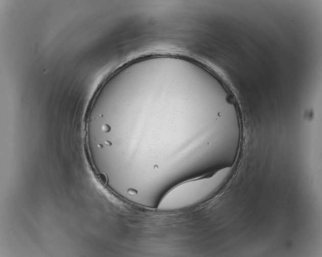 X0000115011335200911091412