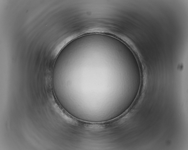 X0000115011337200911091412