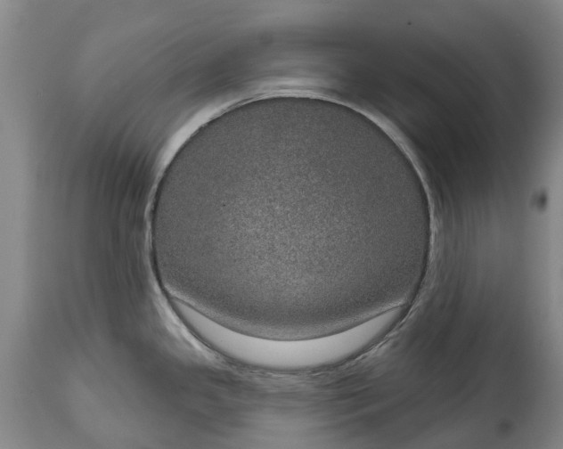 X0000115011341200911091412