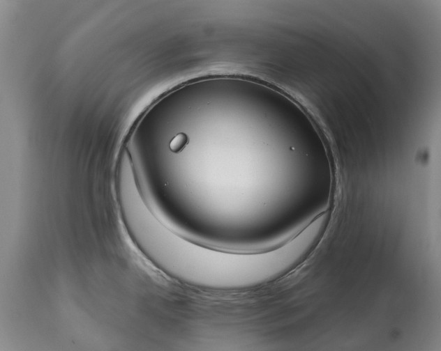 X0000115011342200911091412