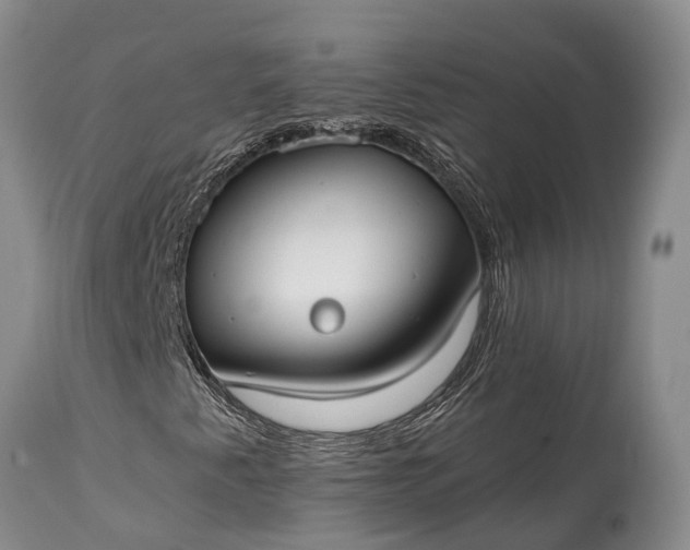 X0000115011345200911091411