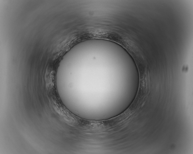 X0000115011346200911091411