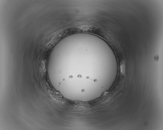 X0000115011347200911091411
