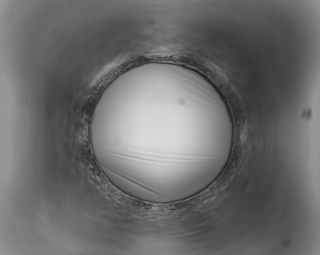 X0000115011350200911091411