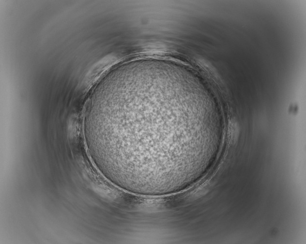 X0000115011353200911091411