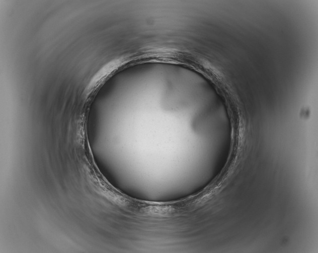 X0000115011354200911091411