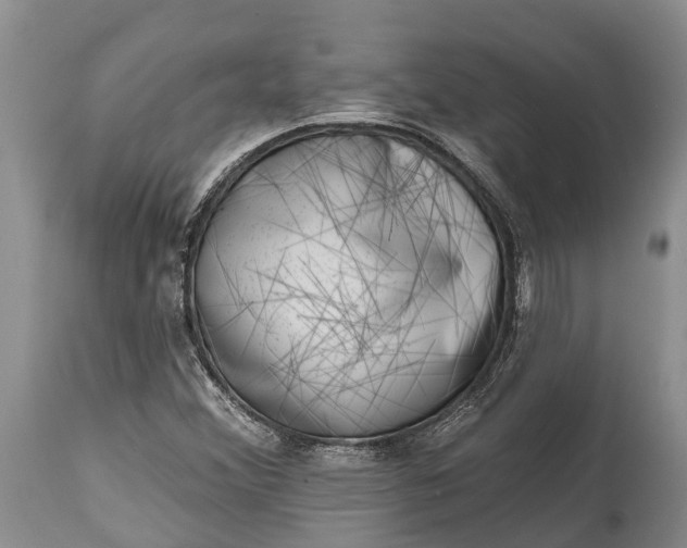 X0000115011356200911091411