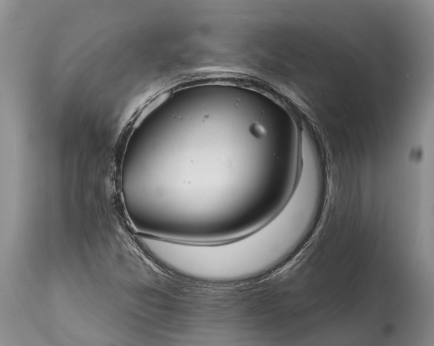 X0000115011357200911091411