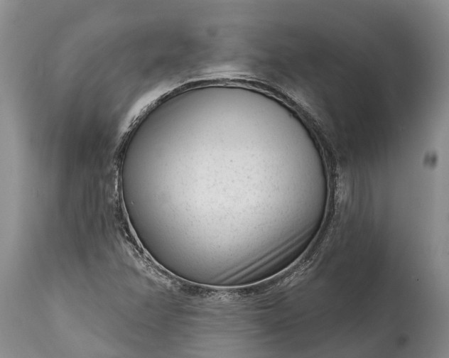 X0000115011358200911091411