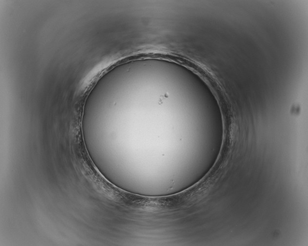 X0000115011359200911091411