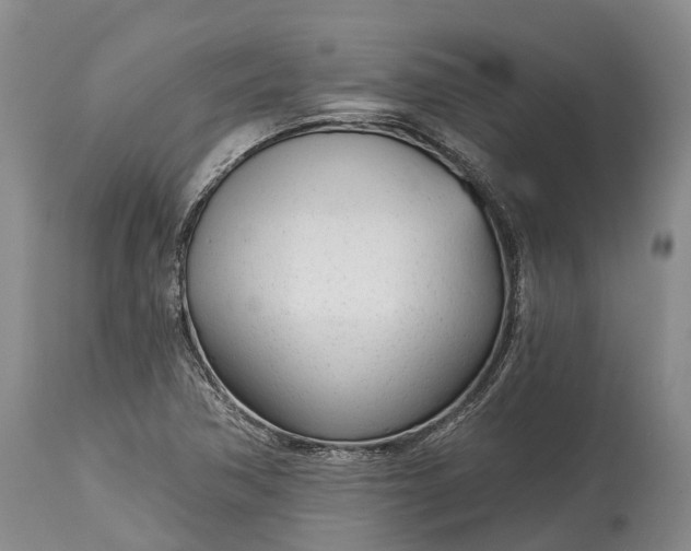 X0000115011362200911091411