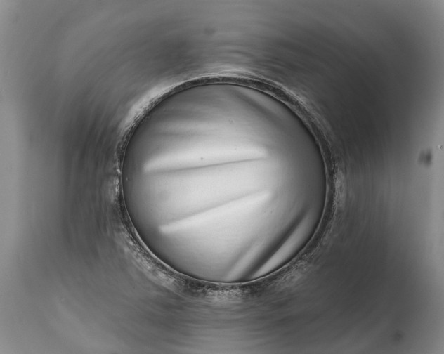 X0000115011363200911091411
