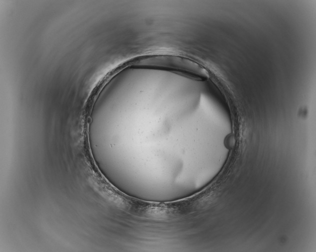 X0000115011364200911091411