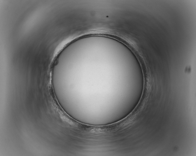 X0000115011366200911091411