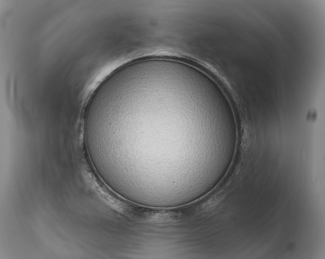 X0000115011367200911091411