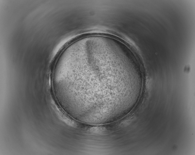 X0000115011368200911091411