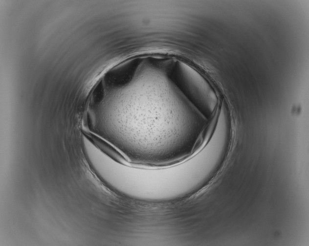 X0000115011369200911091411