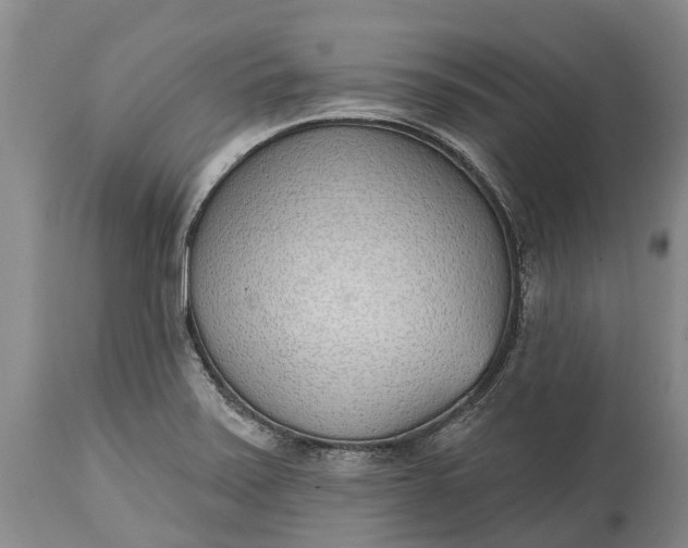 X0000115011371200911091411
