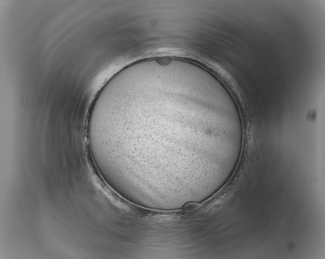 X0000115011373200911091411
